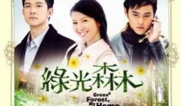 绿光森林在线观看视频,探寻神秘森林的奇幻之旅